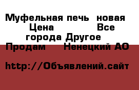 Муфельная печь (новая)  › Цена ­ 58 300 - Все города Другое » Продам   . Ненецкий АО